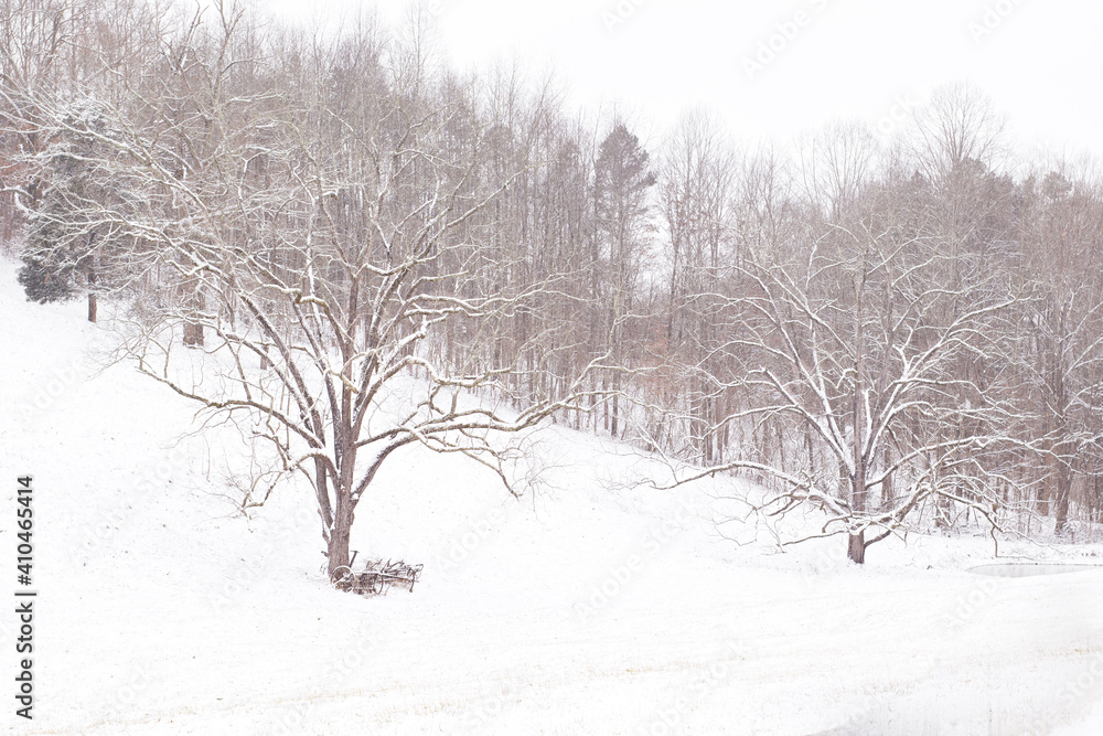 Fototapeta premium Winter landscape 