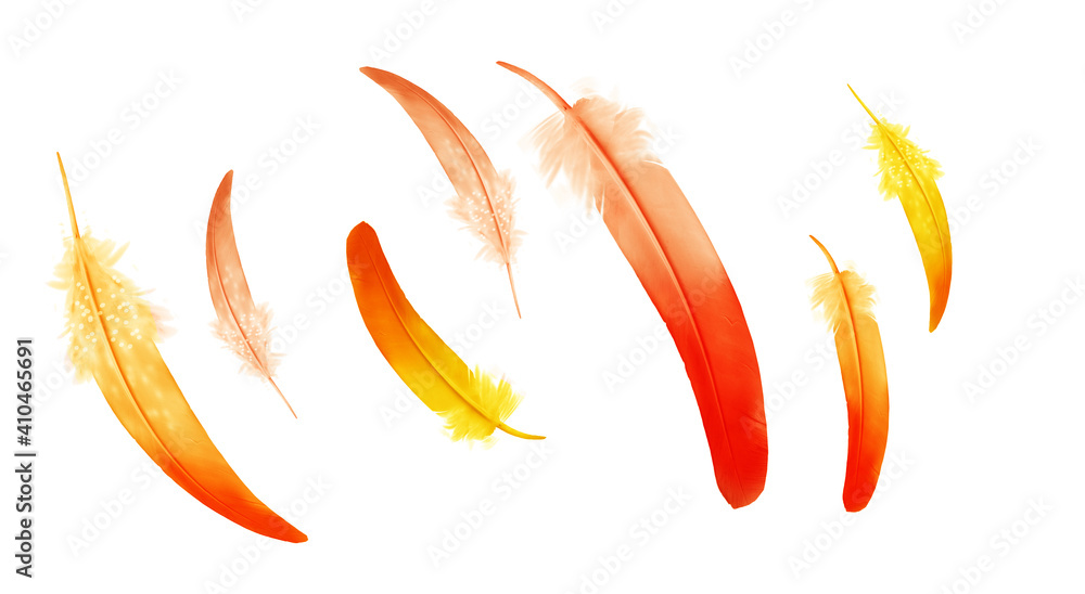 Beautiful color feathers isolated on white background Beautiful color feathers isolated on white background