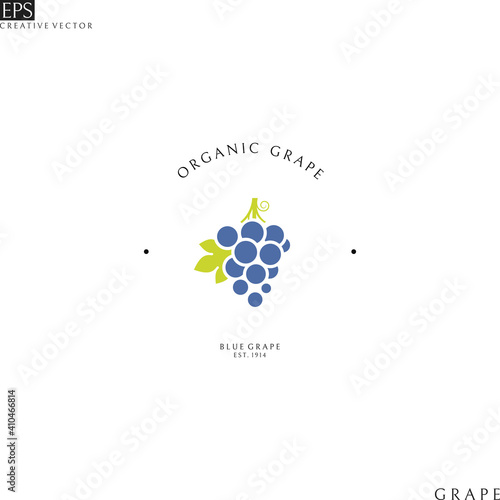 Blue grape with leaf. Logo template 