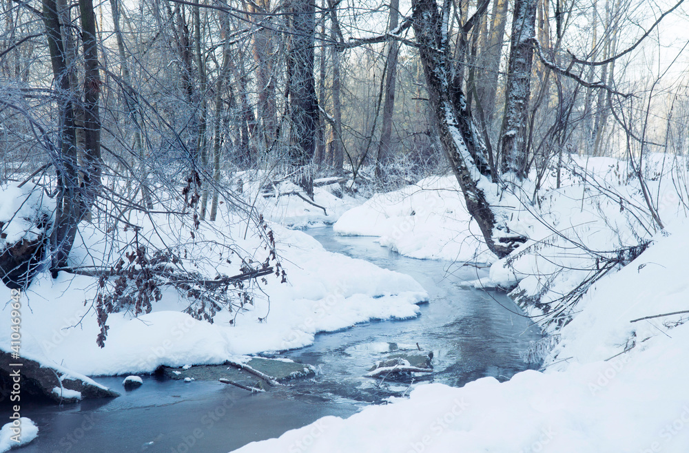 Stream on a winter day. Stream on a winter day.