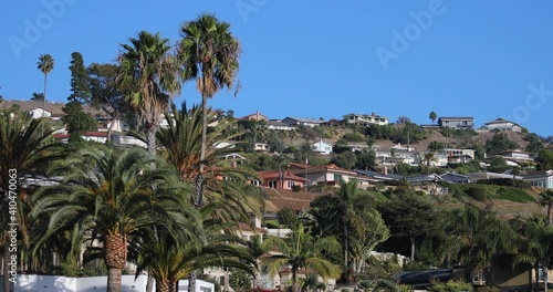 Coastal Trees And Houses On A Hillside In Sunlight