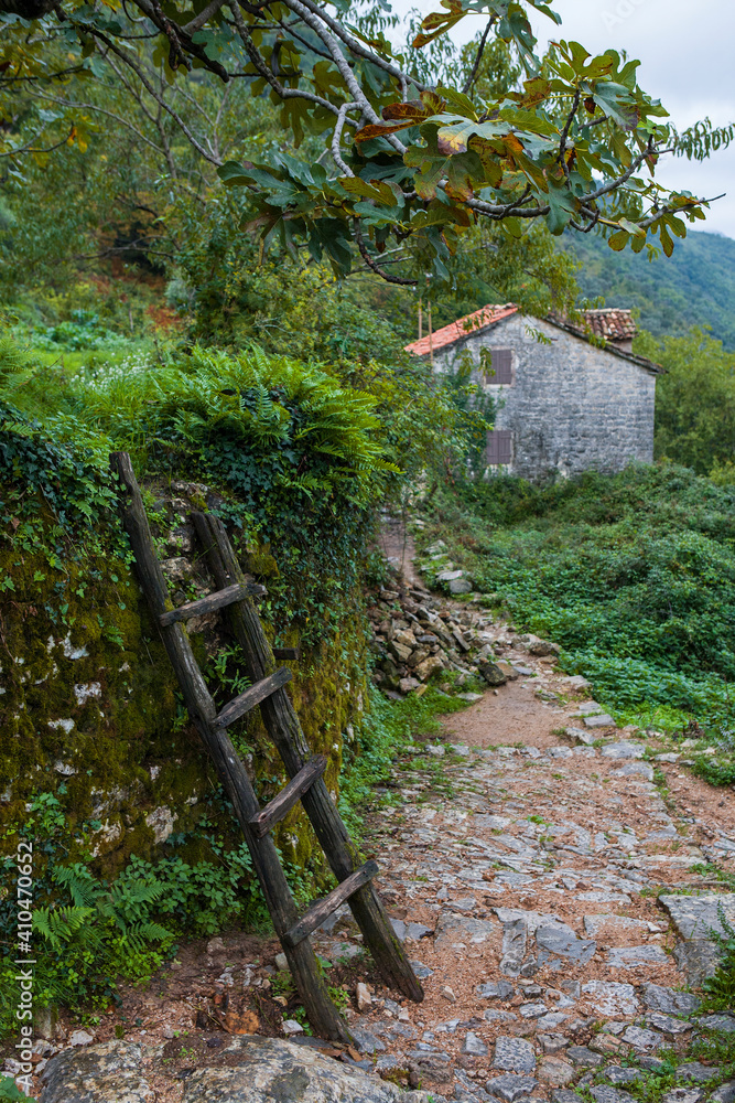 Rustic ladder in Gornji Stoliv, a largely abandoned village high above the Bay of Kotor, Montenegro
