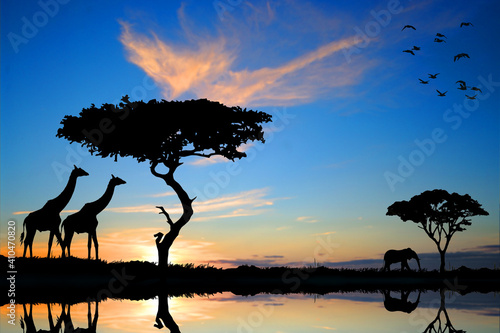Photography Safari in Africa. Wildlife in Africa