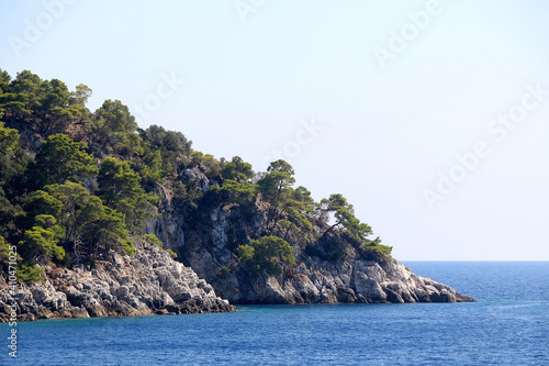 Pine trees growing on the shore. Beautiful Mediterranean landscape on island Lastovo, Croatia.