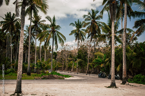 Fototapeta Naklejka Na Ścianę i Meble -  Tropical beach with palm trees in Crystal Bay Area, Nusa Penida, Bali, Indonesia. Scooters are parked in the shadow.