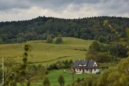 Fototapeta Naklejka Na Ścianę i Meble -  Domek w Bieszczadach i pasące się owce na wzgórzu. Bieszczady, Polska