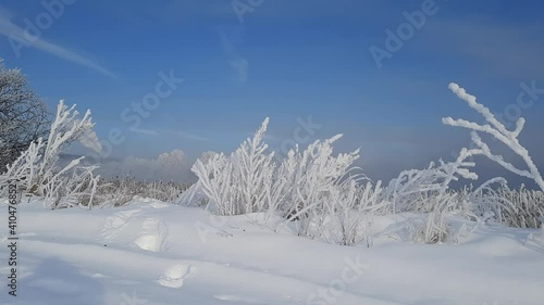 Wallpaper Mural Winter morning Torontodigital.ca