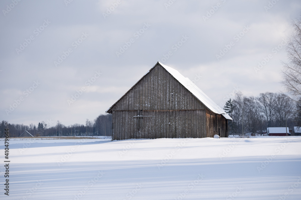 a large tree shed on a snowy winter day when the sun is shining from the right a large tree shed on a snowy winter day when the sun is shining from the right