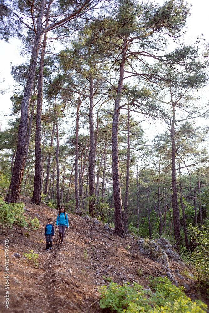 Obraz premium A woman walks with her son through the forest.