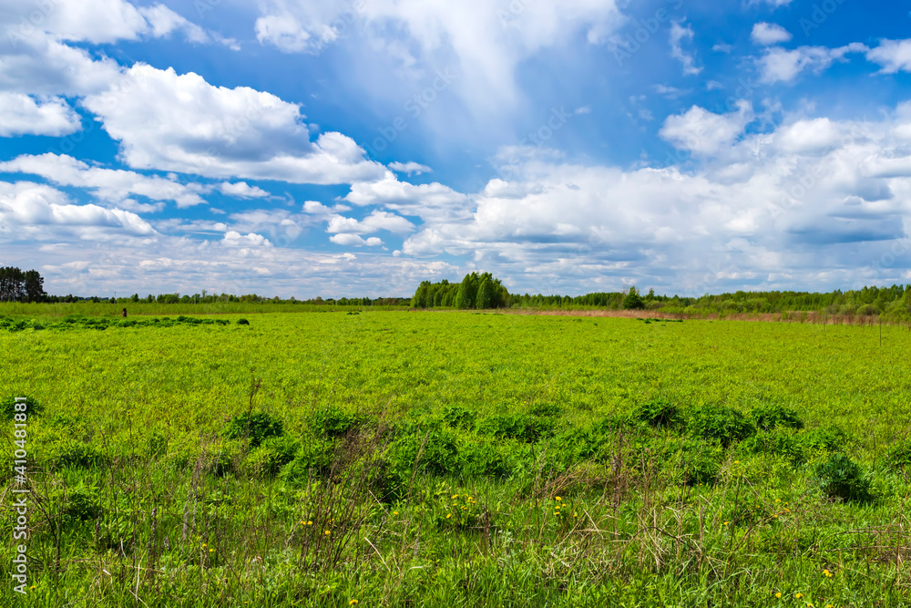Summer landscape with white clouds and green grass. Summer landscape with white clouds and green grass.
