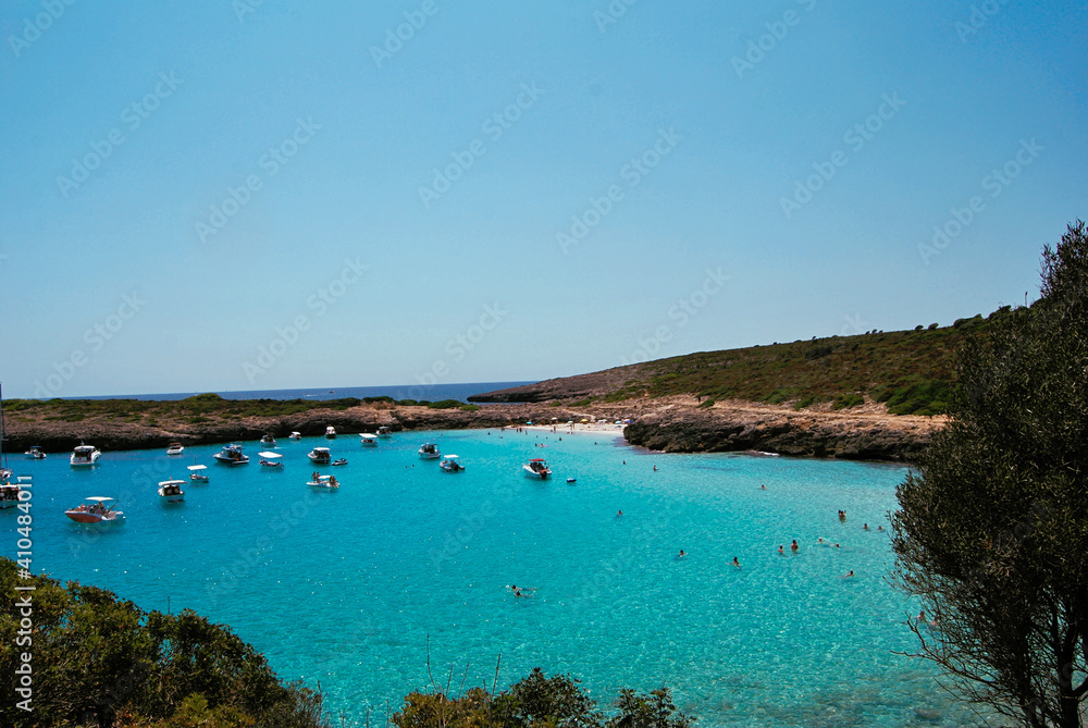 turquoise water beach with lots of nature and several boats
