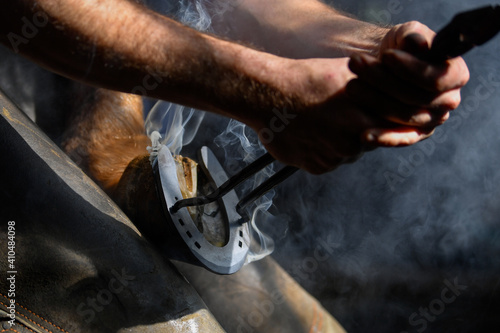 Farrier hot shoeing a horse - adjusting a hot horseshoe to the hoof photo
