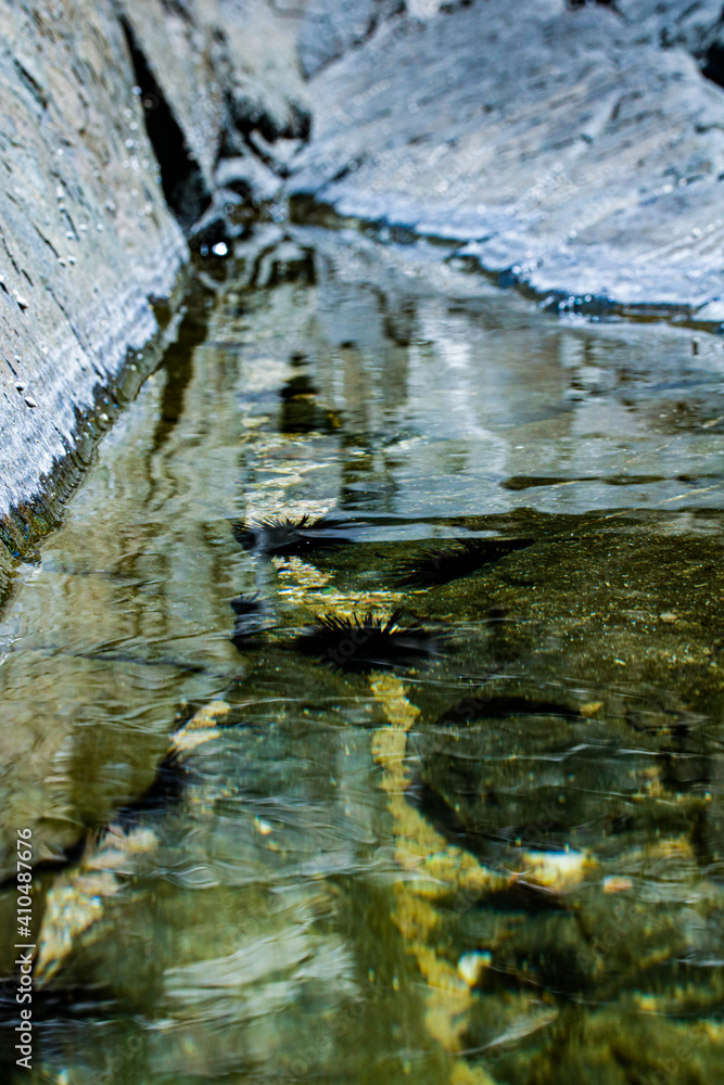 Obraz premium Texturas do mar 2 