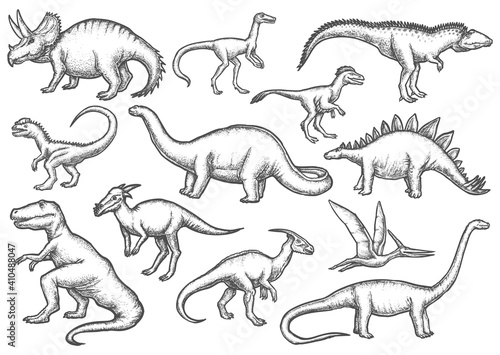 Set of isolated dinosaur sketches. T-rex or tyrannosaurus rex, dilophosaurus and deinonychosauria, stegosaurus and Triceratops, Barosaurus and Pteranodon. Jurassic vector sign. Paleontology