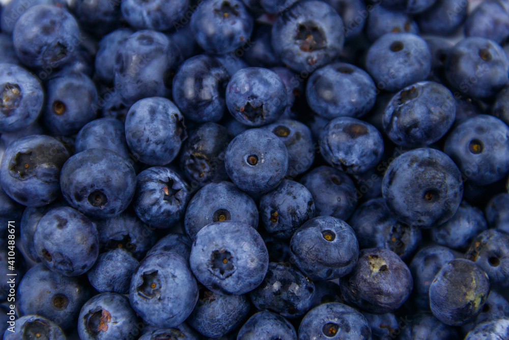 Background of the fresh blueberries - obrazy, fototapety, plakaty 