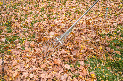 Rake for collecting autumn leaves in the park