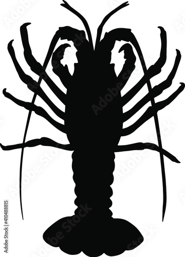 Vector image of cancer or lobster 