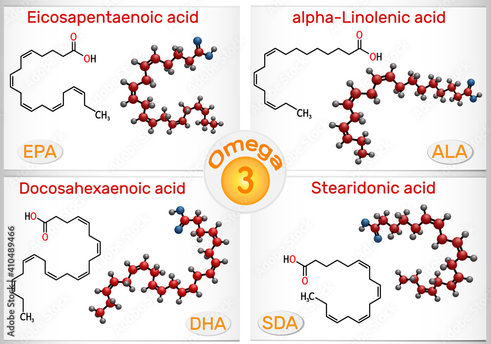 Omega-3, polyunsaturated fatty acids. Eicosapentaenoic acid (EPA),  docosahexaenoic acid (DHA), stearidonic acid (SDA), alpha-linolenic acid ( ALA) Stock Vector | Adobe Stock