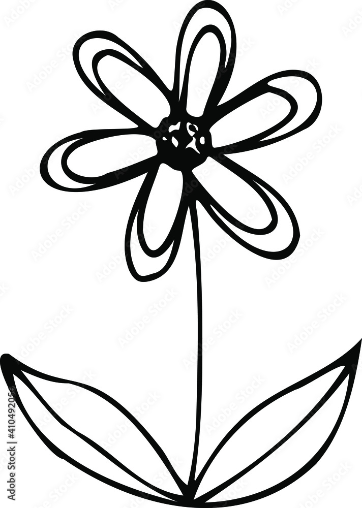 Daisy flower in the Doodle style. Black and white image isolated on a white background. Contour drawing. Vector illustration Daisy flower in the Doodle style. Black and white image isolated on a white background. Contour drawing. Vector illustration