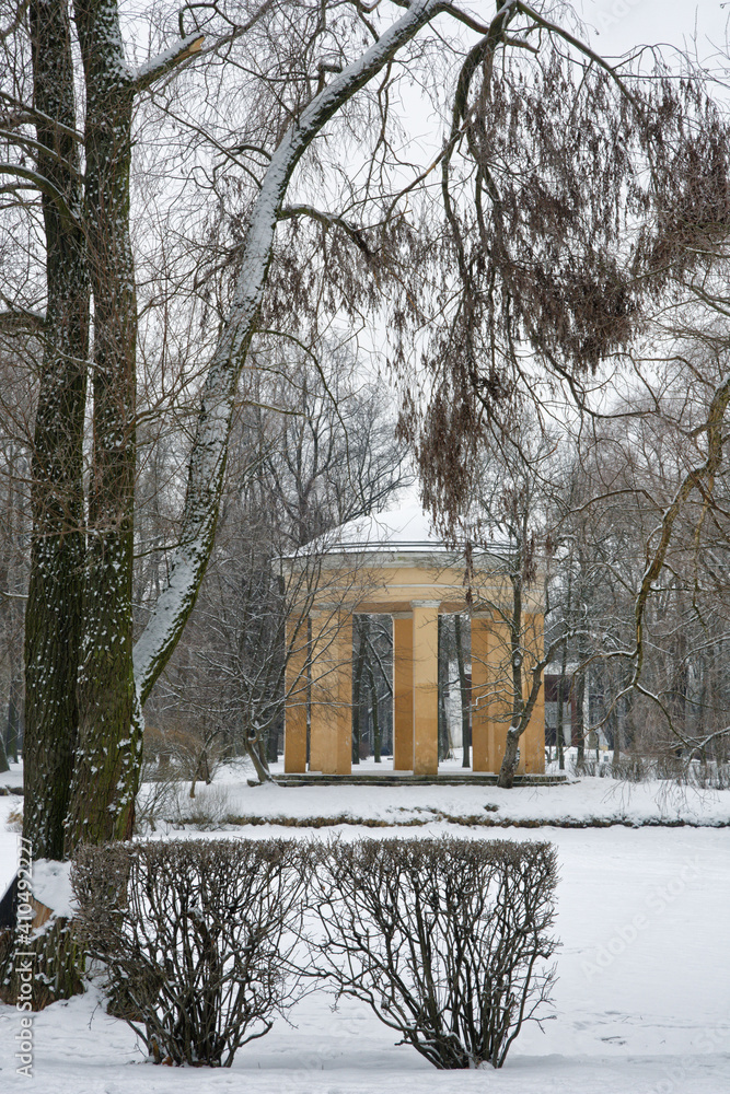 City park in the winter season.