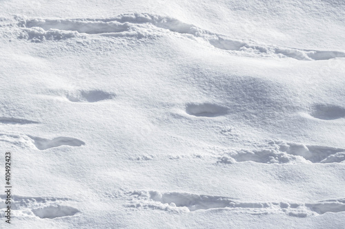 Entangled footprints in the snow. White drifts. Winter landscape. Snow background. Cold weather. Footsteps in the snow. Frosty air. Foot prints. Snow texture. Pathfinder work. Find in the footsteps.