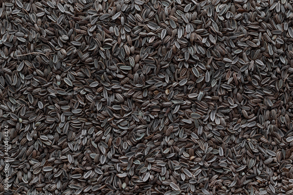The fennel seed background is completely covered in the entire frame. Background on the theme of medicinal herbs. Folk medicine. The fennel seed background is completely covered in the entire frame. Background on the theme of medicinal herbs. Folk medicine.