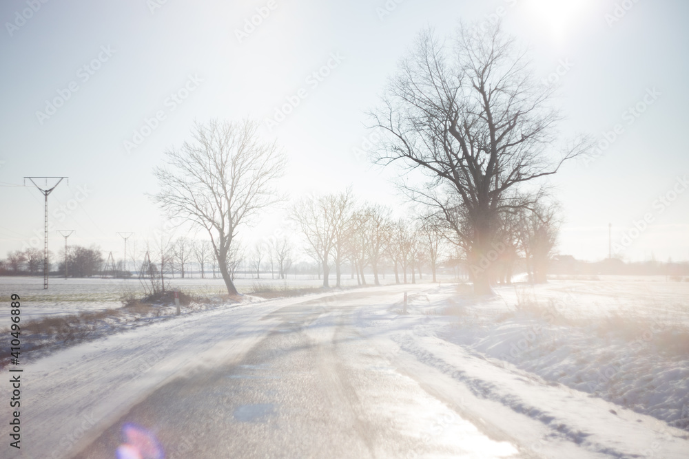 © PAULINA - Snow covered street among trees © PAULINA - Snow covered street among trees