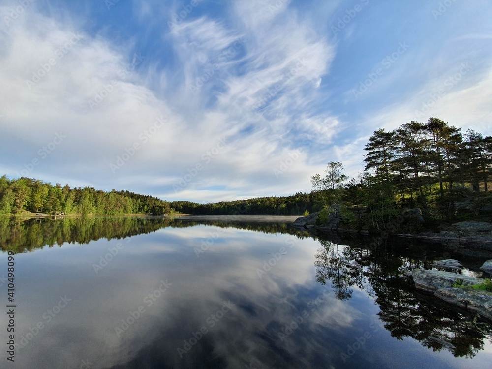 Forest lake