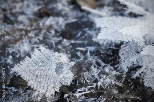 Close-up of crystal dendrite, snowflake of multi-branching tree-like form. Winter nature macro view, selective focus.