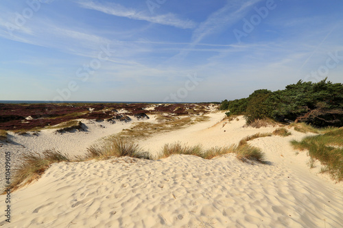 sand dunes at the beach, sand dunes on the beach near Dueodde on the island of Bornholm in the Baltic Sea,