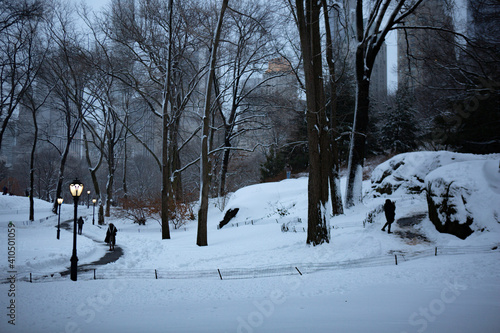 Central Park in snow  New York City