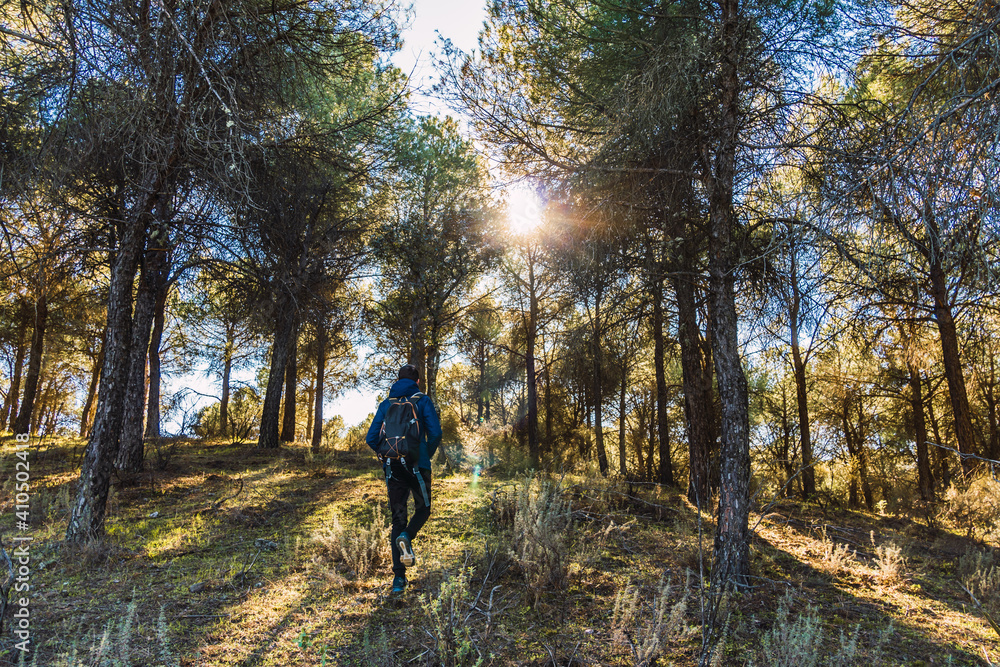 Stock photo of unrecognized man walking in the forest and wearing backpack. Stock photo of unrecognized man walking in the forest and wearing backpack.