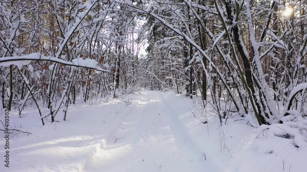 The trees covered with snow on frosty sunny day. Beautiful winter panorama aerial view. The trees covered with snow on frosty sunny day. Beautiful winter panorama aerial view.