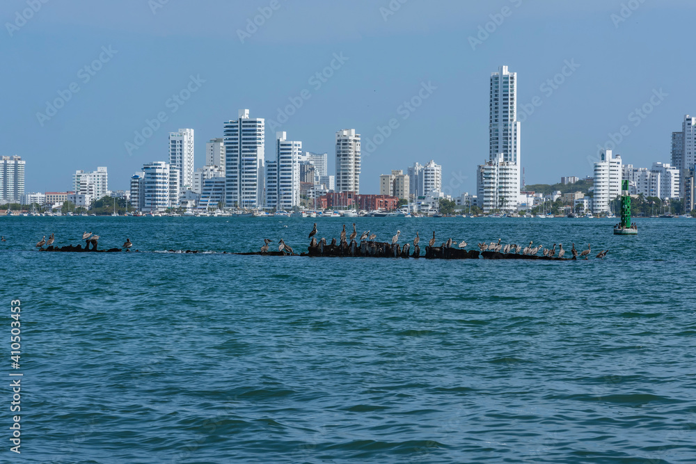 pelicans in the old structure boat under water against city skyline of manga neighborhood in cartagena de indias colombia pelicans in the old structure boat under water against city skyline of manga neighborhood in cartagena de indias colombia