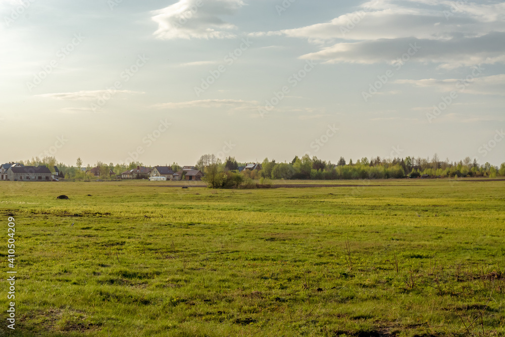 Panoramic view of meadow