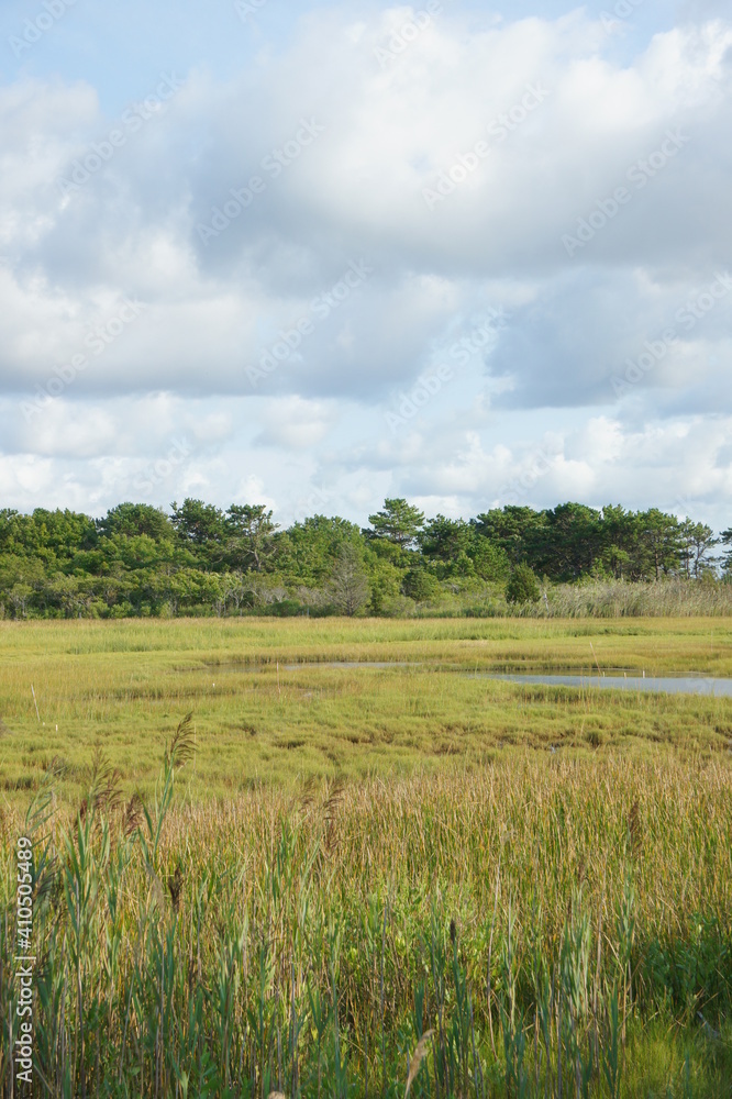 Marsh at South Cape Beach, part of the Waquoit Bay National Estuary Reserve in Mashpee, MA