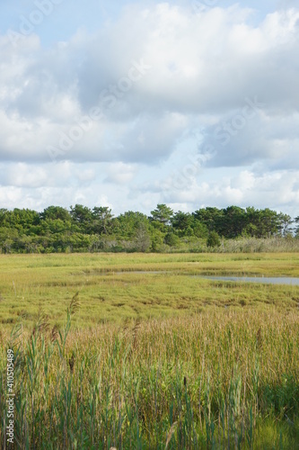 Marsh at South Cape Beach, part of the Waquoit Bay National Estuary Reserve in Mashpee, MA