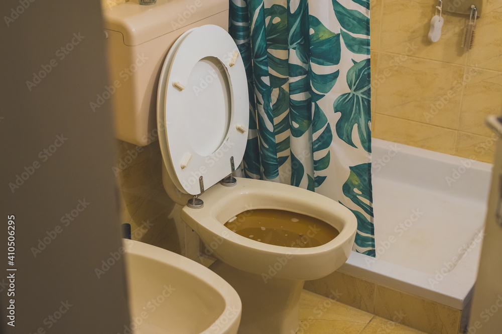 Toilet filled up to the rim with brown water, stuck debris in a home toilet. Help, plumber wanted! Please unclog my toilet bowl!
