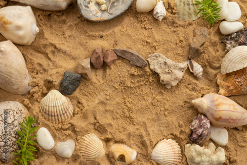 seashells and beach stones on the sand on a sunny day. Marine items on a beach while on vacation.