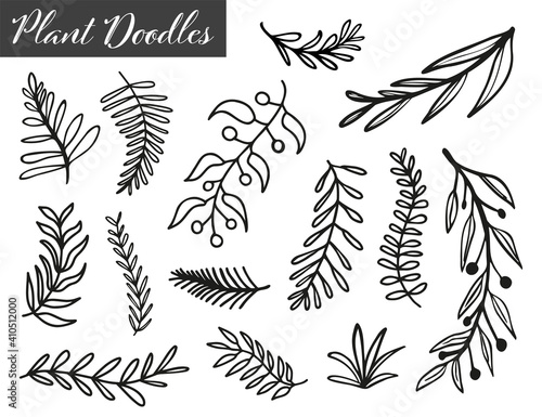 Collection of doodled leaves and branches without background
