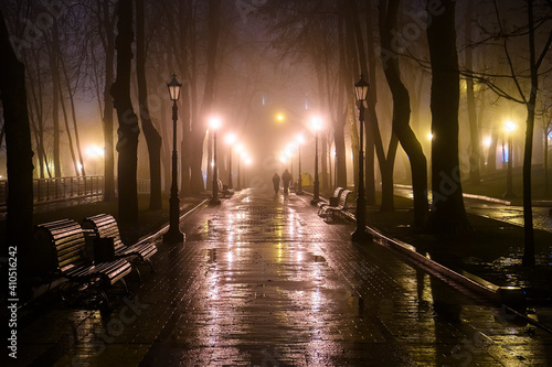 Evening view of the alley in the old park in foggy weather.