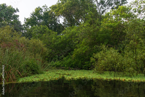 Weeki Wachee River, Florida