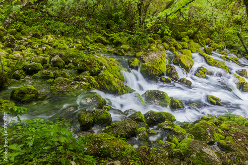 Fototapeta Naklejka Na Ścianę i Meble -  Gljun stream source near Bovec village, Slovenia