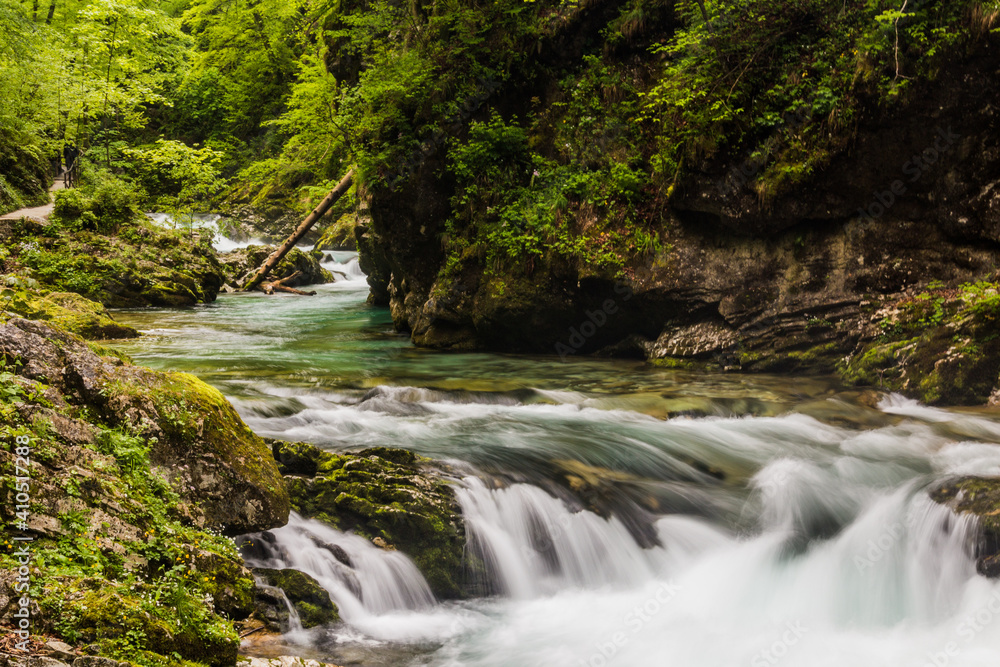 Vintgar gorge near Bled, Slovenia Vintgar gorge near Bled, Slovenia