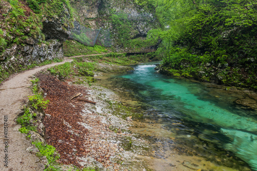 River Radovna in Vintgar gorge near Bled, Slovenia