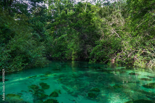 Weeki Wachee River,  Florida