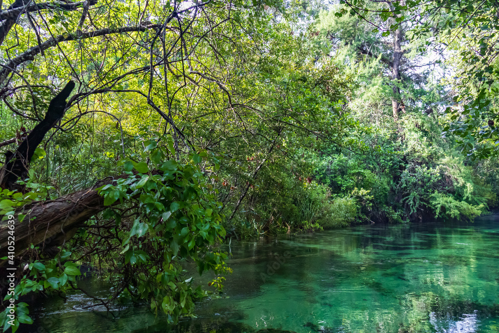 Weeki Wachee River,  Florida