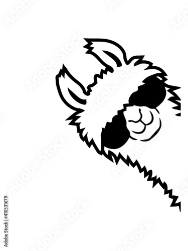 Lama guckt seitlich 