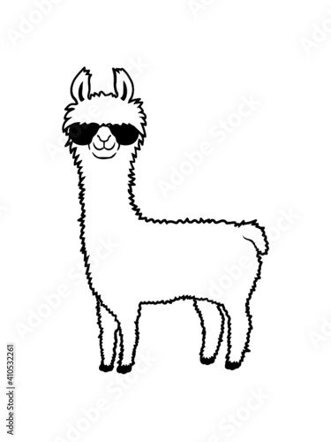 Lama Cool Sonnenbrille 
