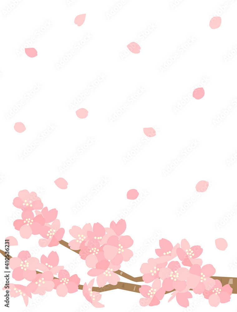 桜114　さくら　花　カード